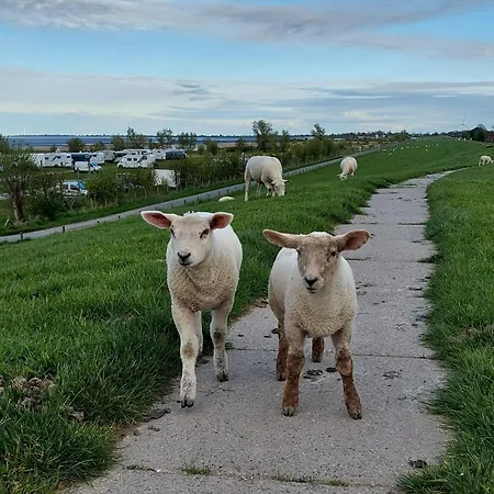 Oberdeck In Fedderwardersiel Mit Garten U Grill Apartment