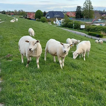 Oberdeck In Fedderwardersiel Mit Garten U Grill *